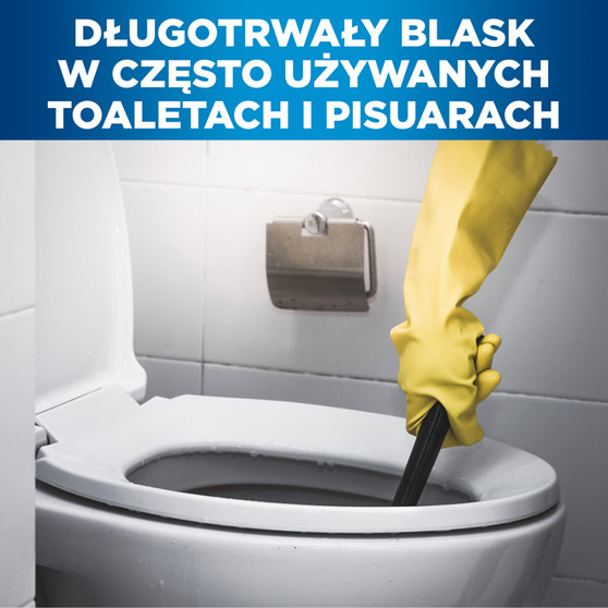 Mr. Proper Professional Żel do czyszczenia toalet i pisuarów 750 ml
