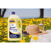 Lenor Professional Płyn do płukania Summer Breeze 4 l
