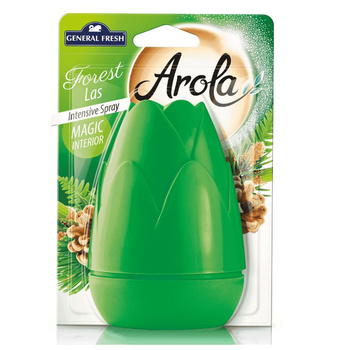 General Fresh Arola Magiczna Szyszka odświeżacz powietrza Las 40 ml