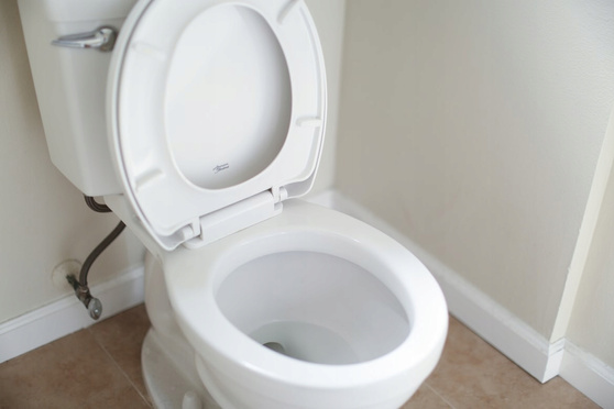 General Fresh kostka do WC Morze 35 g