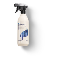 goblank Czyszczę fugi w Twoim domu, płyn do czyszczenia fug bez szorowania 500 ml